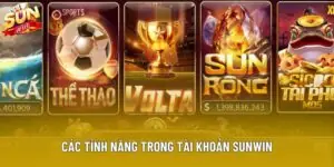 Các Tính Năng Trong Tài Khoản Sunwin - Hệ Thống Quản Lý