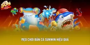 Top 5 Mẹo Chơi Bắn Cá Sunwin Hiệu Quả Từ Giới Cao Thủ