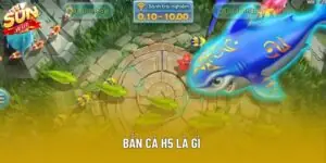 Bắn Cá H5 Là Gì - Tổng Quan Và Hướng Dẫn Chi Tiết 2025