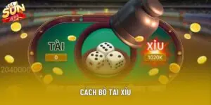 Cách Bỏ Tài Xỉu Hiệu Quả Nhất Cho Người Mới Bắt Đầu Làm