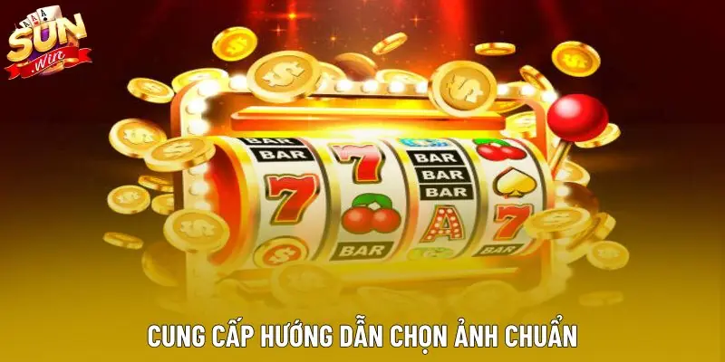 Cung cấp hướng dẫn chọn ảnh chuẩn