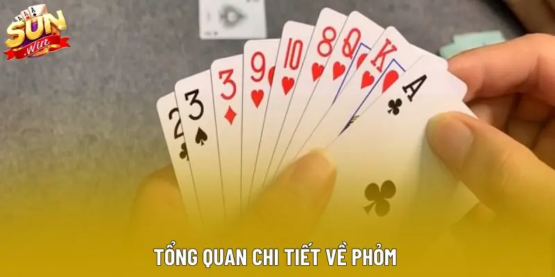 Tổng quan chi tiết về phỏm