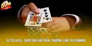 Xì Tố Là Gì - Game Bài Hấp Dẫn, Thưởng Lớn Tại Sunwin 2025